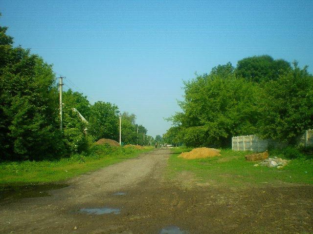 Черепашинці з panoramio.com - Cherepashyntsi