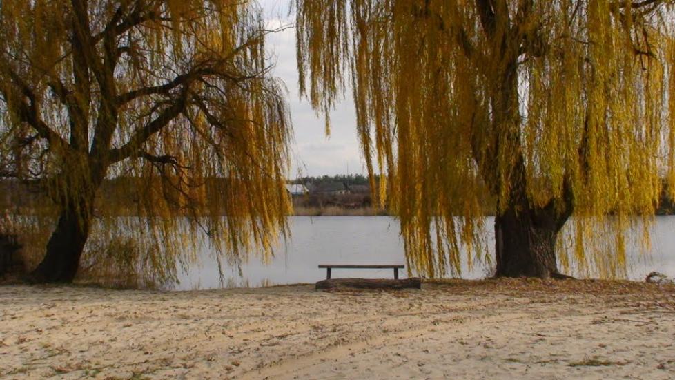 Студенок з panoramio.com - Студенок