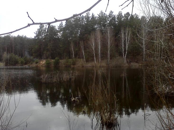 Халявин з panoramio.com - Халявин
