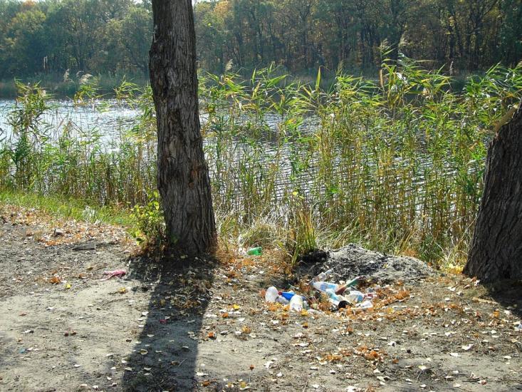 Ряське з panoramio.com - Рясское