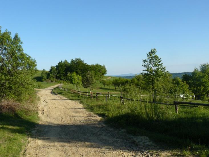 Орів з panoramio.com - Оров