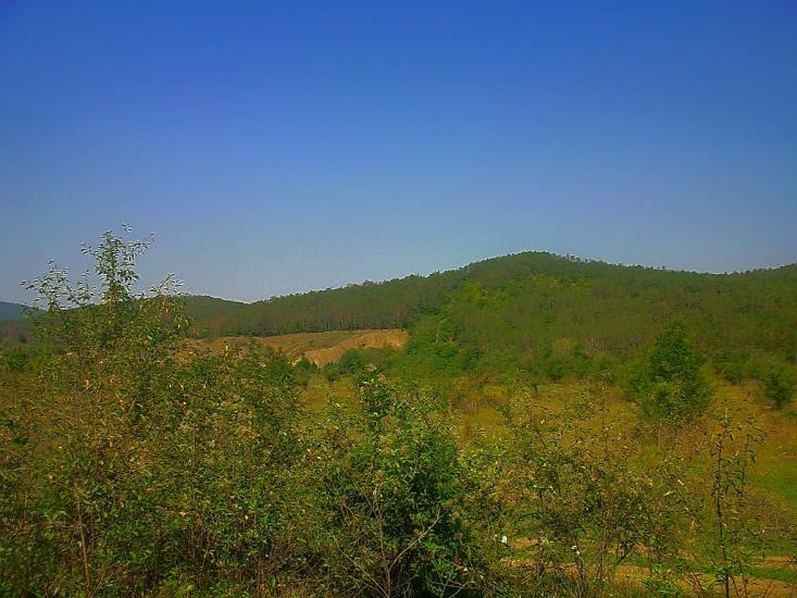 Плотинне з panoramio.com - Плотинное