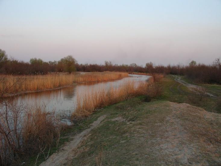 Солонці з panoramio.com - Солонцы