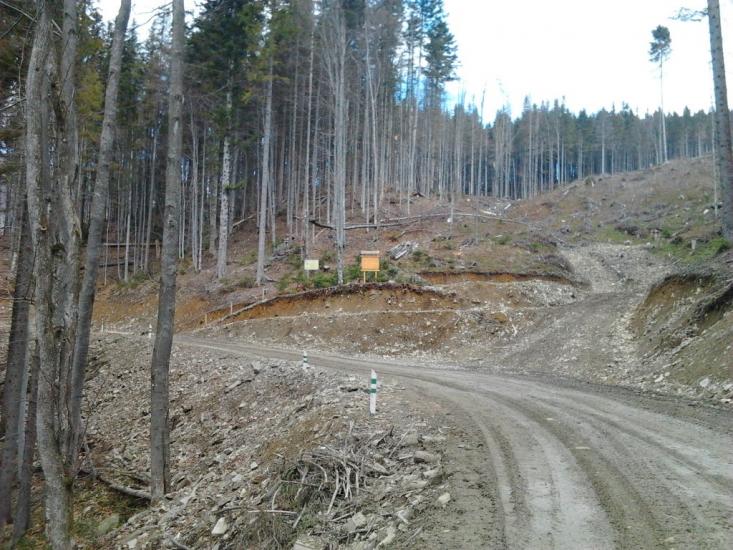 Кам'янка з panoramio.com - Каменка