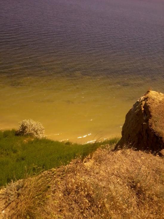 Пшонянове з panoramio.com - Пшонянове
