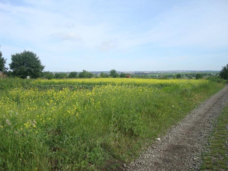 Шумівці з panoramio.com - Шумівці