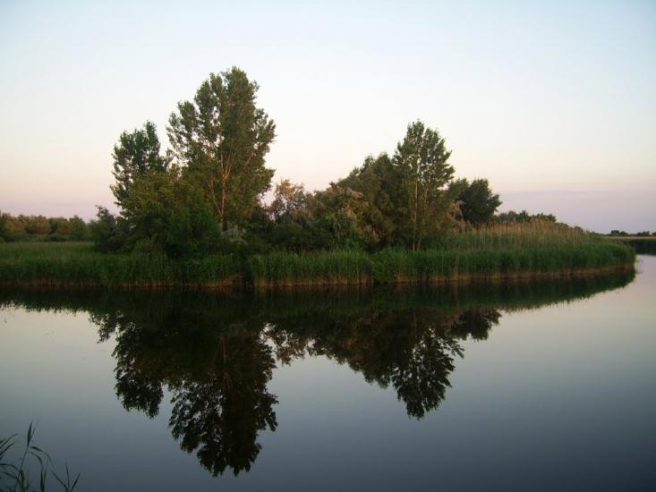 Петровського з panoramio.com - Петровского