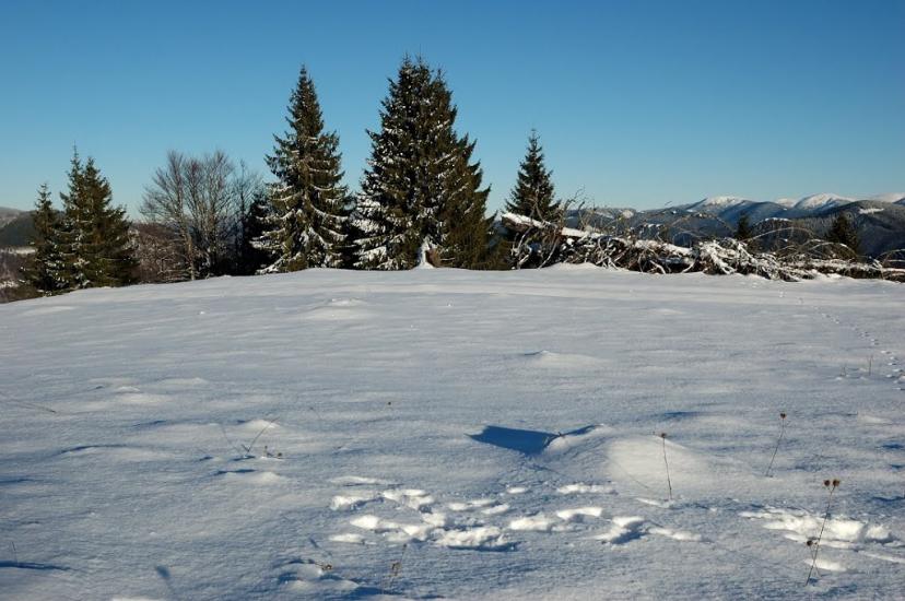 Руська Мокра з panoramio.com - Русская Мокрая