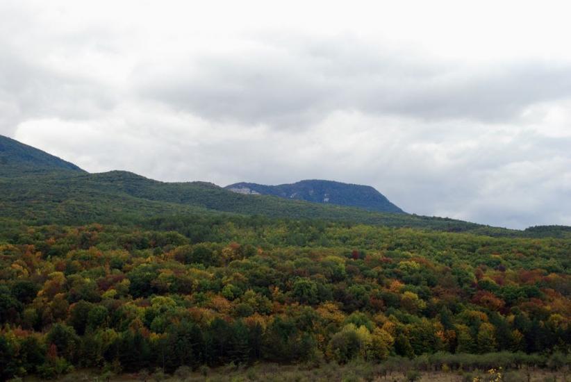 Щасливе з panoramio.com - Schaslyve