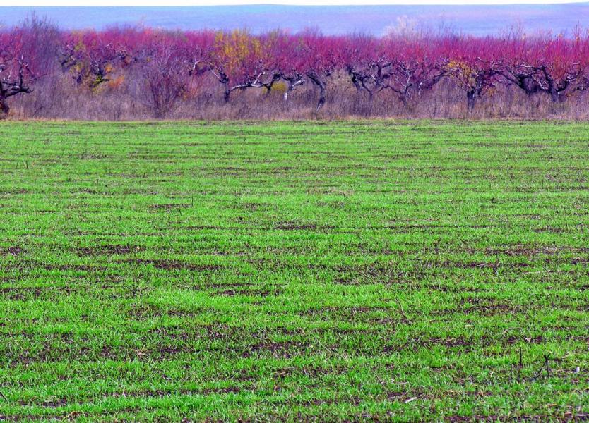 Глибокий Яр з panoramio.com - Глибокий Яр
