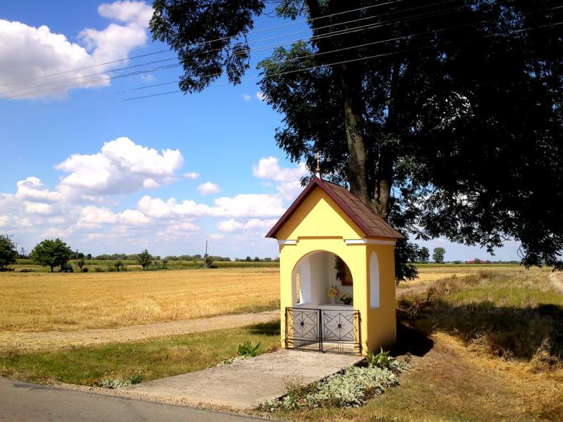 Буців з panoramio.com - Буцов