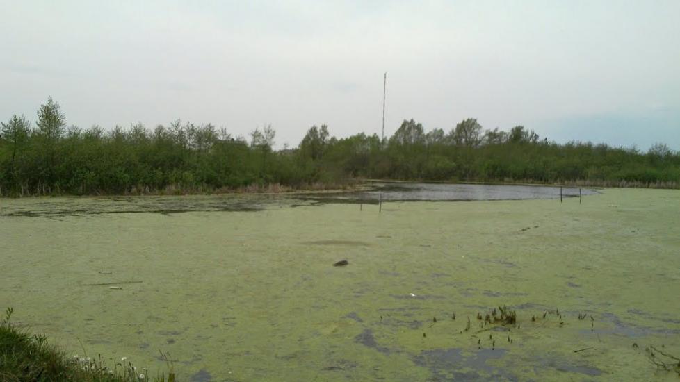 Суховоля з panoramio.com - Суховоля