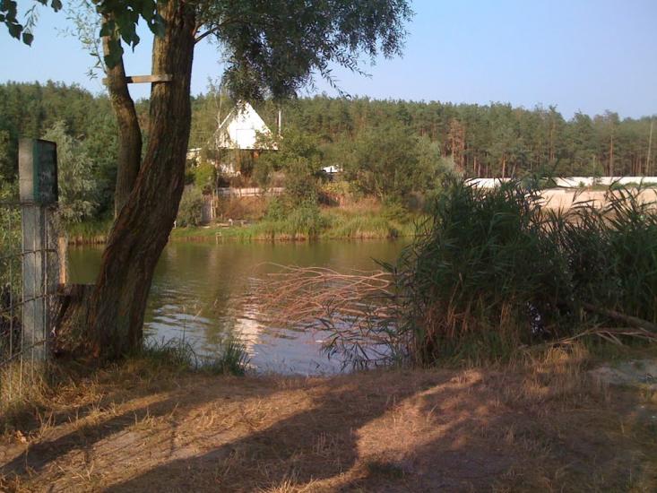 Забір'я з panoramio.com - Zabirya
