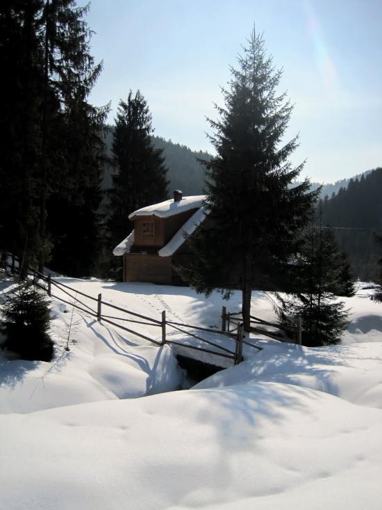Нижня Рожанка з panoramio.com - Нижняя Рожанка