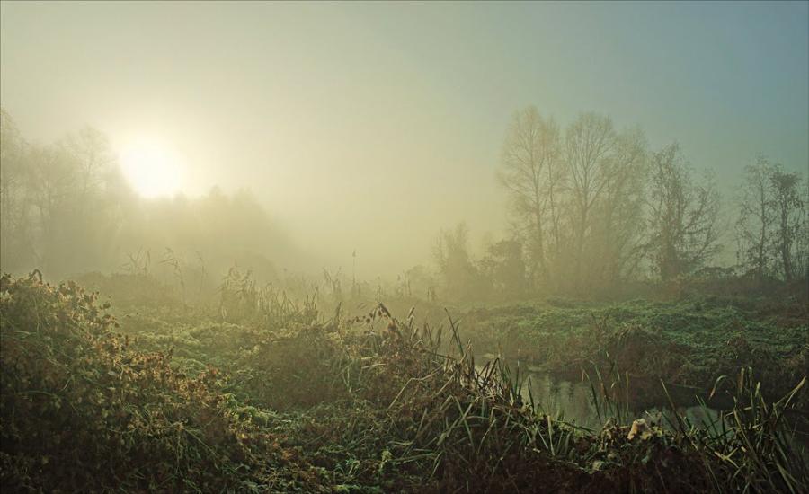 Мала Стариця з panoramio.com - Мала Стариця