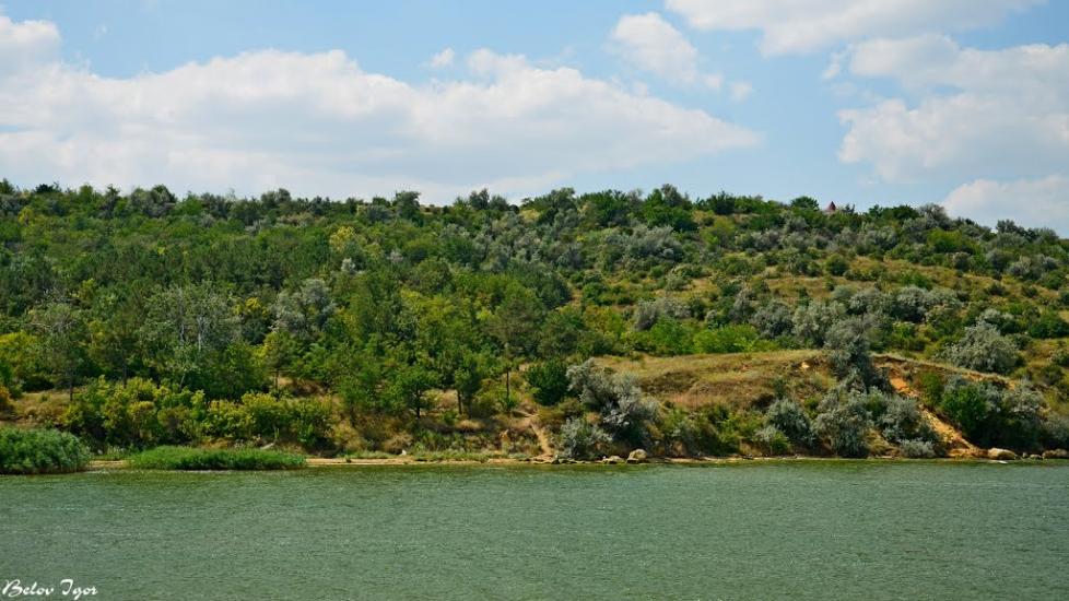 Алтестове з panoramio.com - Алтестово