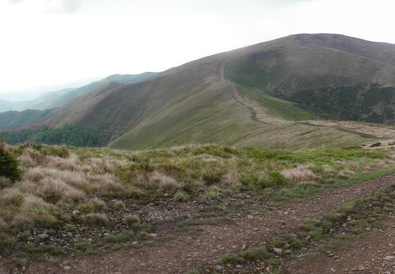 Усть-Чорна з panoramio.com - Усть-Чорна