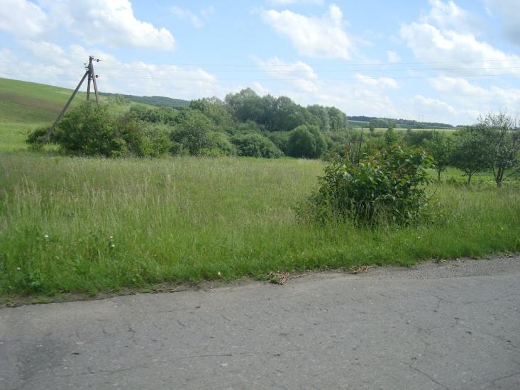Малашівці з panoramio.com - Malashivtsi
