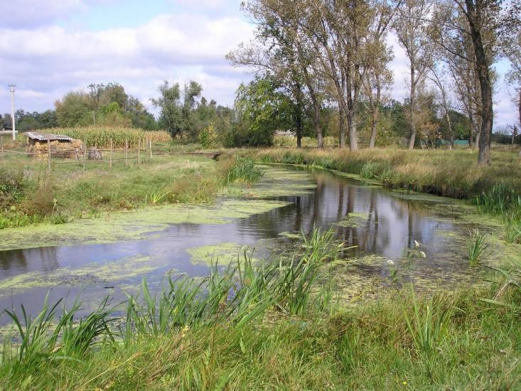 Нова Прага з panoramio.com - Нова Прага