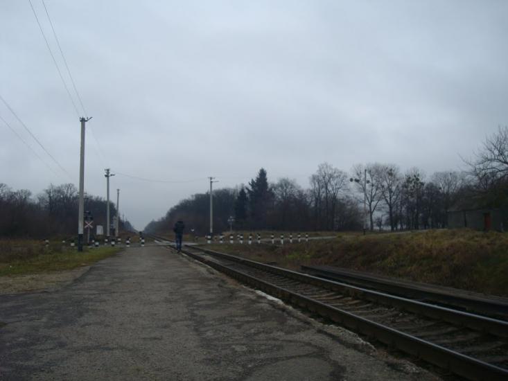 Кузьмин з panoramio.com - Кузьмин
