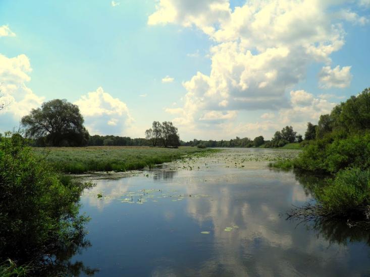 Єньків з panoramio.com - Еньков