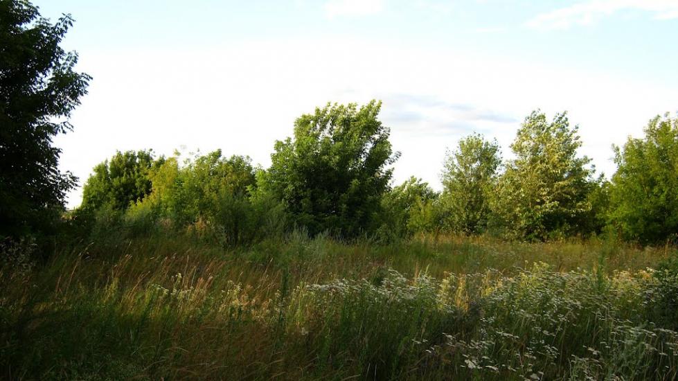 Богданівка з panoramio.com - Богдановка