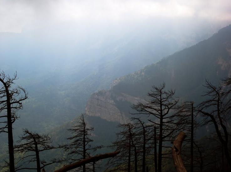 Відрадне з panoramio.com - Отрадное