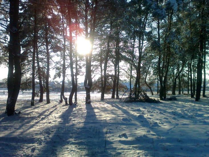 Борівське з panoramio.com - Борівське