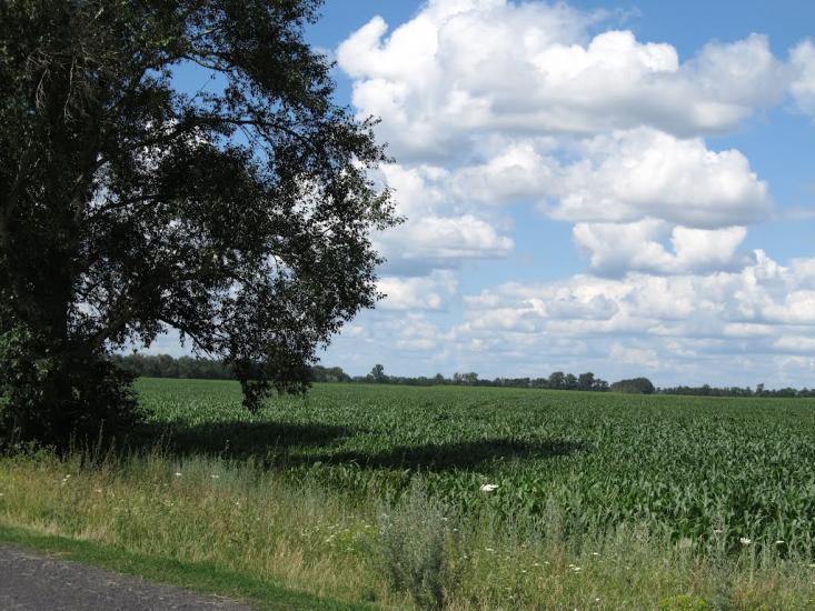 Олексіївка з panoramio.com - Алексеевка