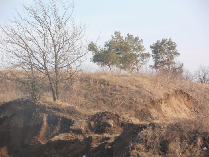 Млинки з panoramio.com - Млынки