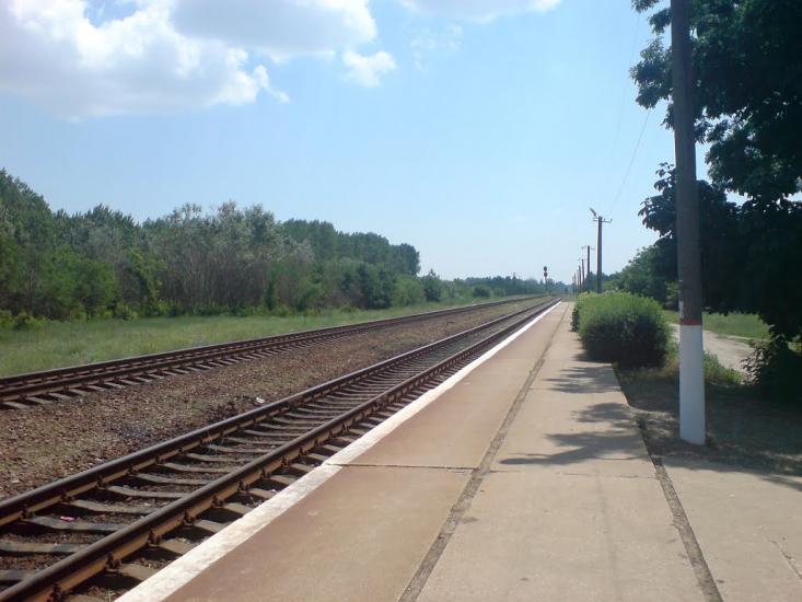 Великі Копані з panoramio.com - Великие Копани