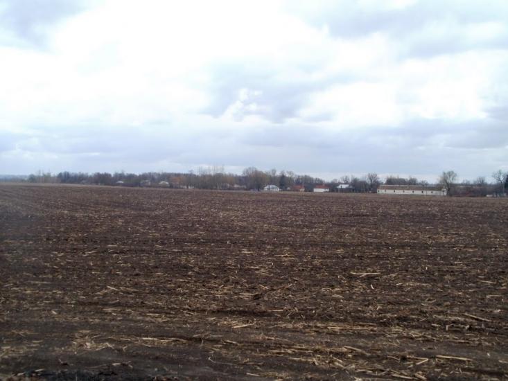 Краснопілка з panoramio.com - Краснополка