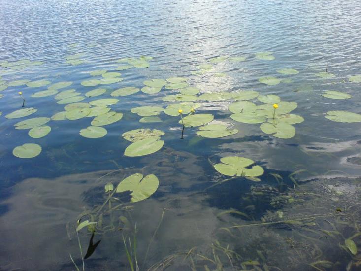 Гірки з panoramio.com - Горки