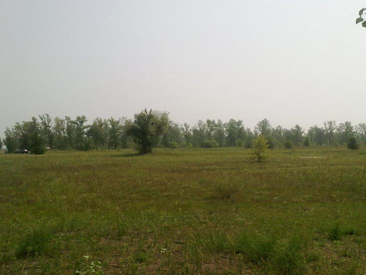 Вища Дубечня з panoramio.com - Высшая Дубечня