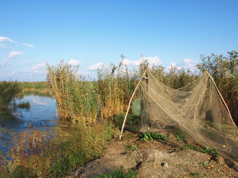Сухолужжя з panoramio.com - Сухолужжя