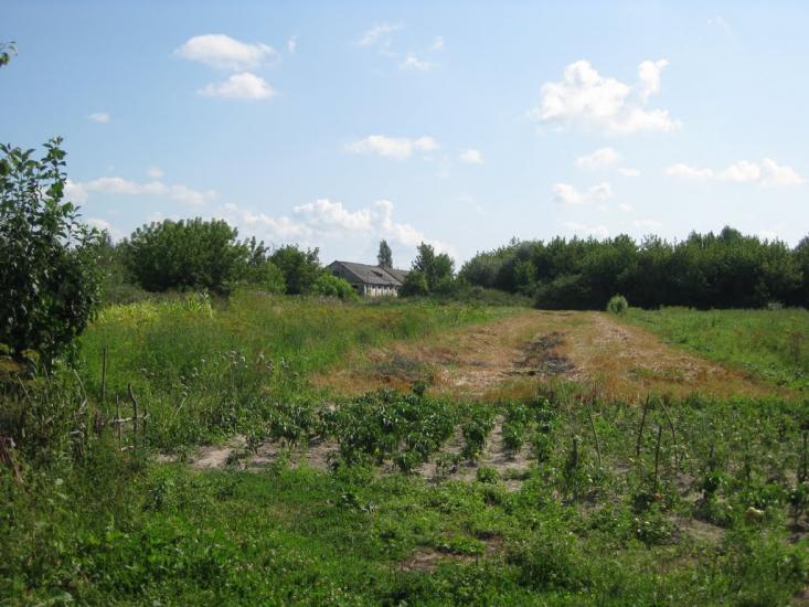 Мовники з panoramio.com - Мовники