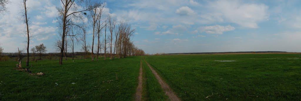 Шелудьківка з panoramio.com - Шелудьківка