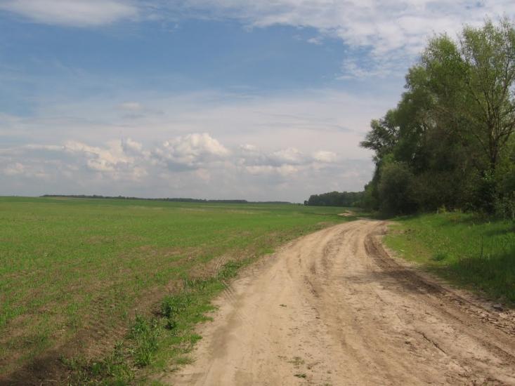 Товстоліс з panoramio.com - Толстолес