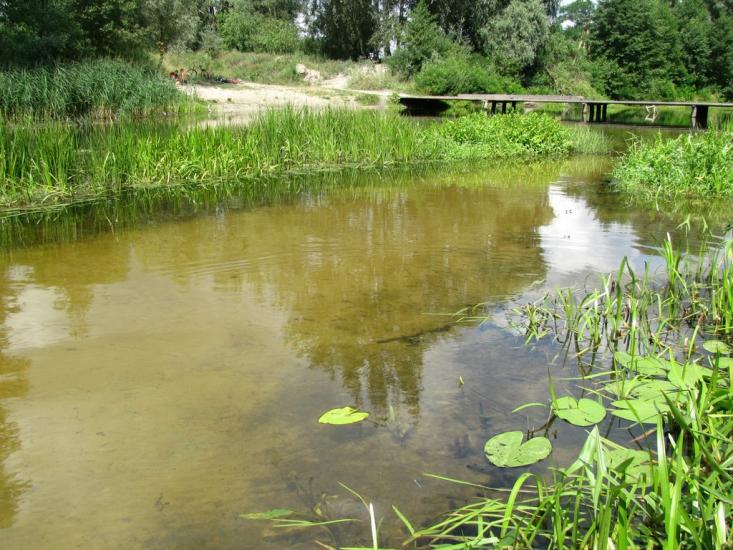 Гавронці з panoramio.com - Гавронці