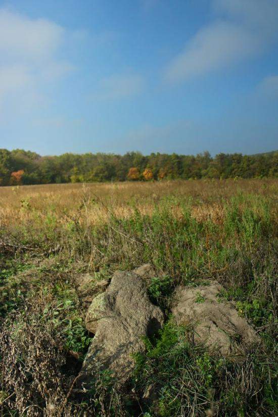 Карбівське з panoramio.com - Karbivske