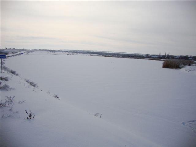 Бурячки з panoramio.com - Бурячки