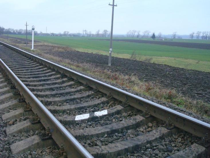 Радісне з panoramio.com - Радостное