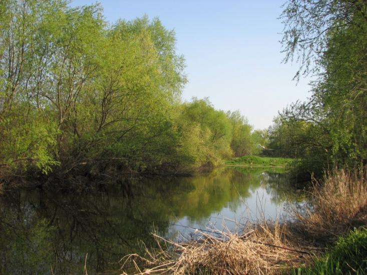 Журавно з panoramio.com - Журавно