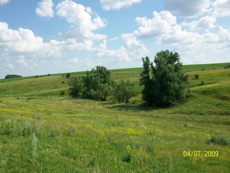 Михайлівка з panoramio.com - Михайлівка