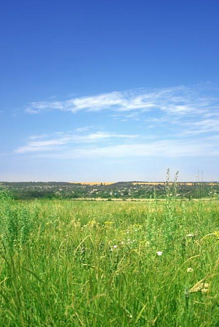 Заградівка з panoramio.com - Zagradivka