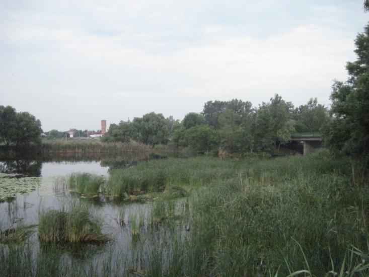 Решетилівка з panoramio.com - Решетиловка