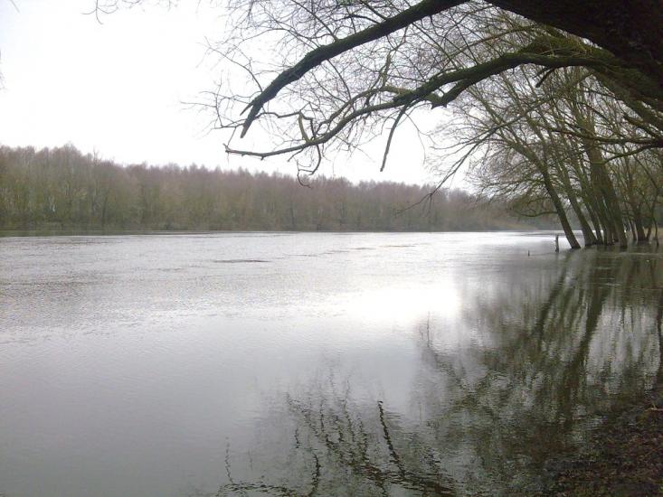 Камінь з panoramio.com - Камінь