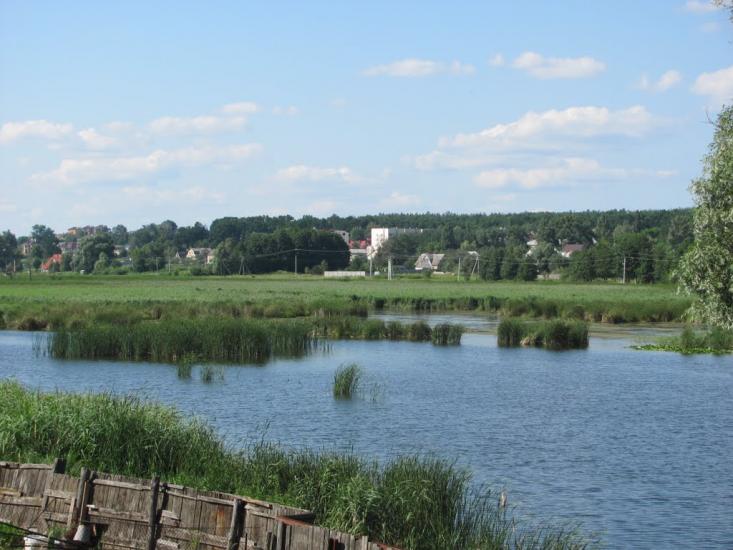 Віта-Поштова з panoramio.com - Вита-Почтовая