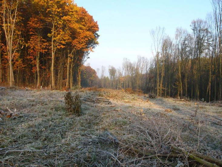 Кисляк з panoramio.com - Kyslyak