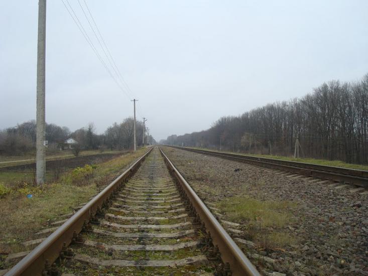 Воронківці з panoramio.com - Воронковцы